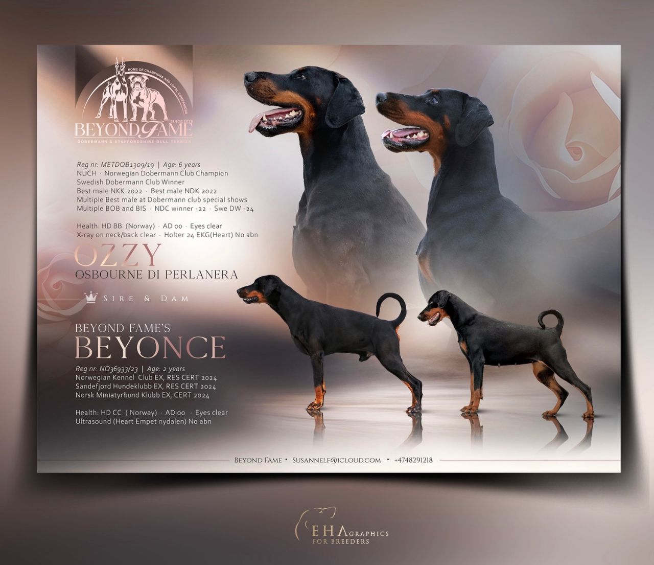Dobermann