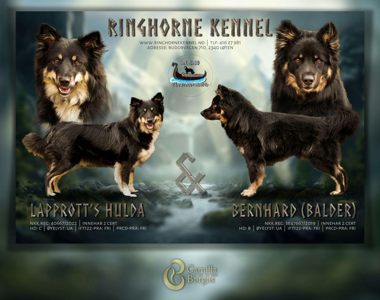 Lapsk vallhund