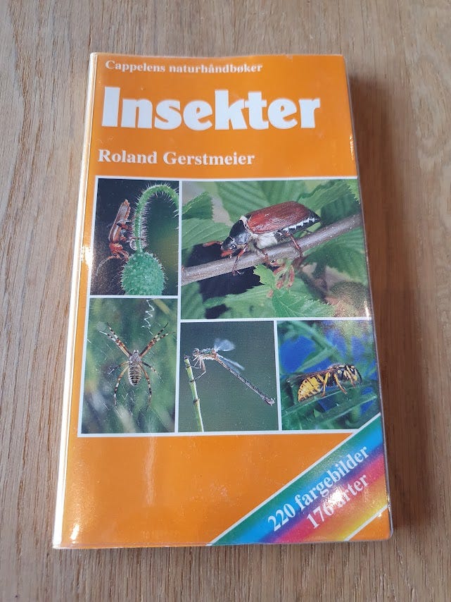 Insekter | FINN-torget
