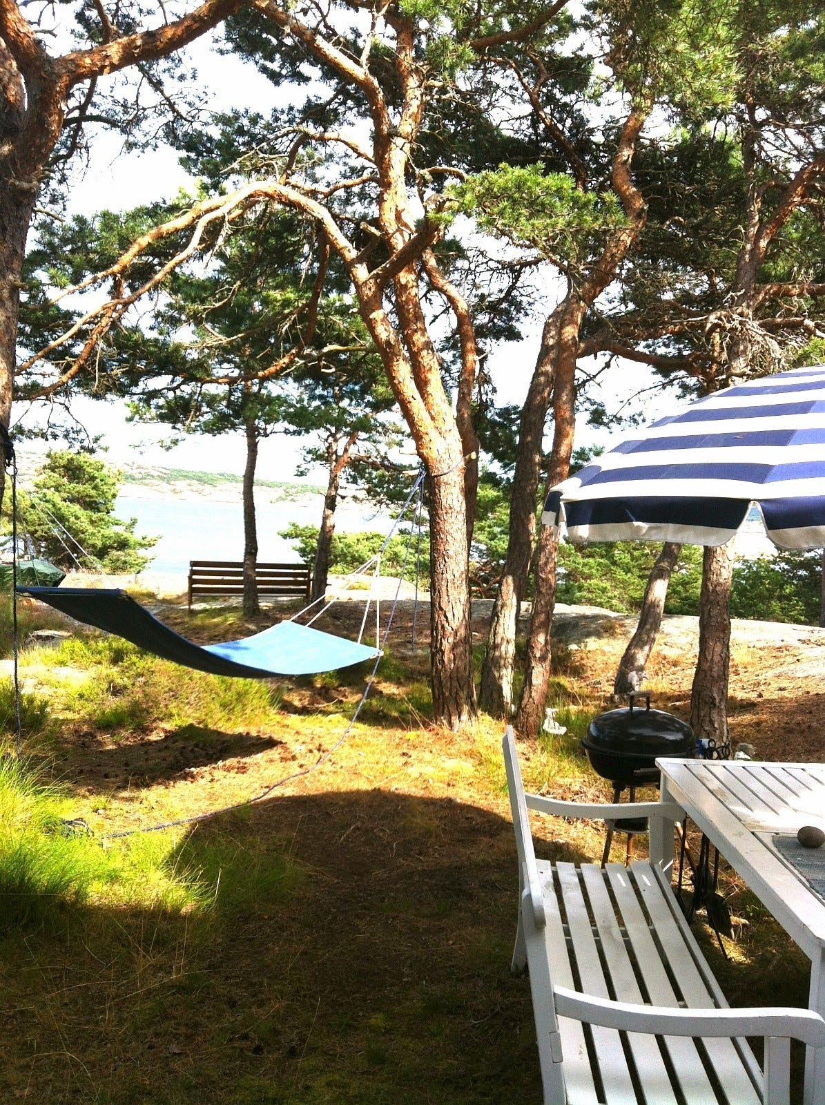 Utsikt fra hytten. Sms 92200182 Galleribilde