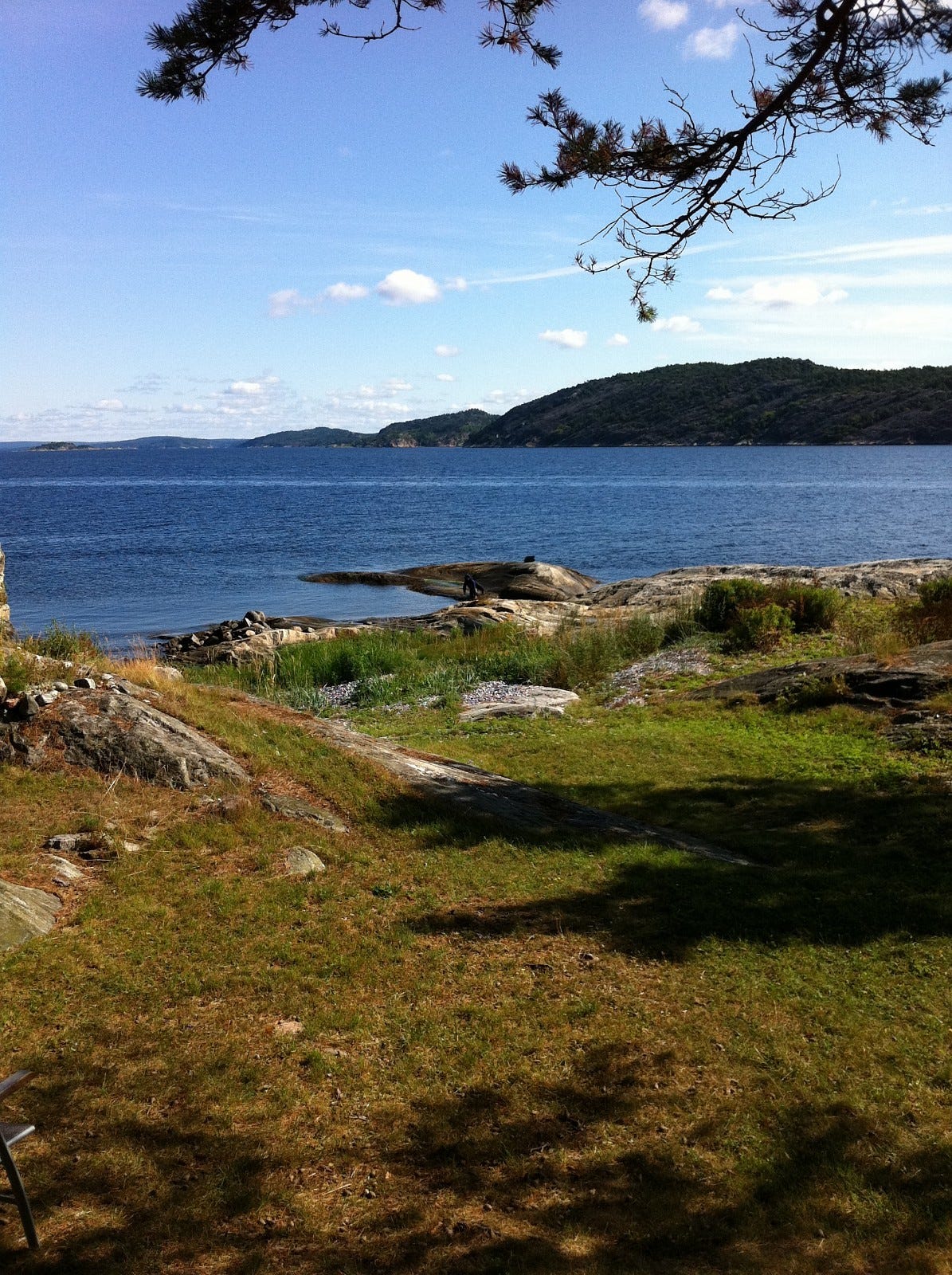 Utsikt mot nord Galleribilde