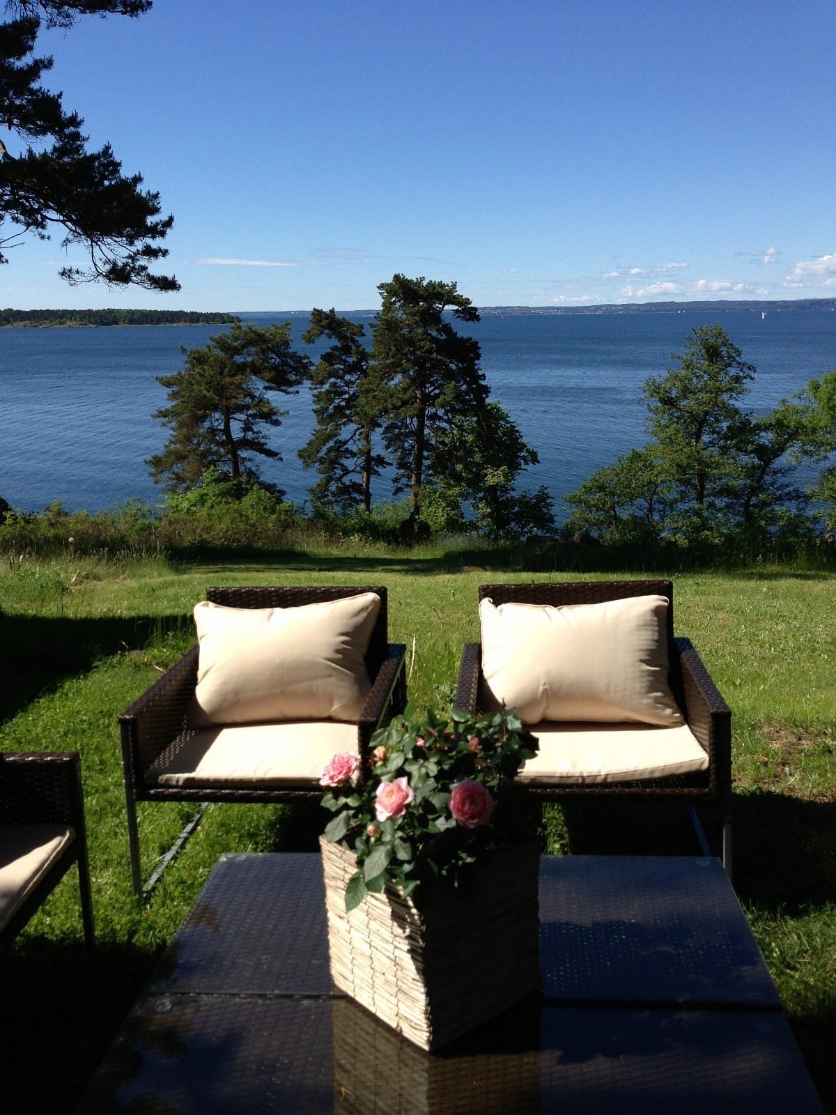 Nydelig uteplass med stor gressplen og fantastisk utsikt. Galleribilde