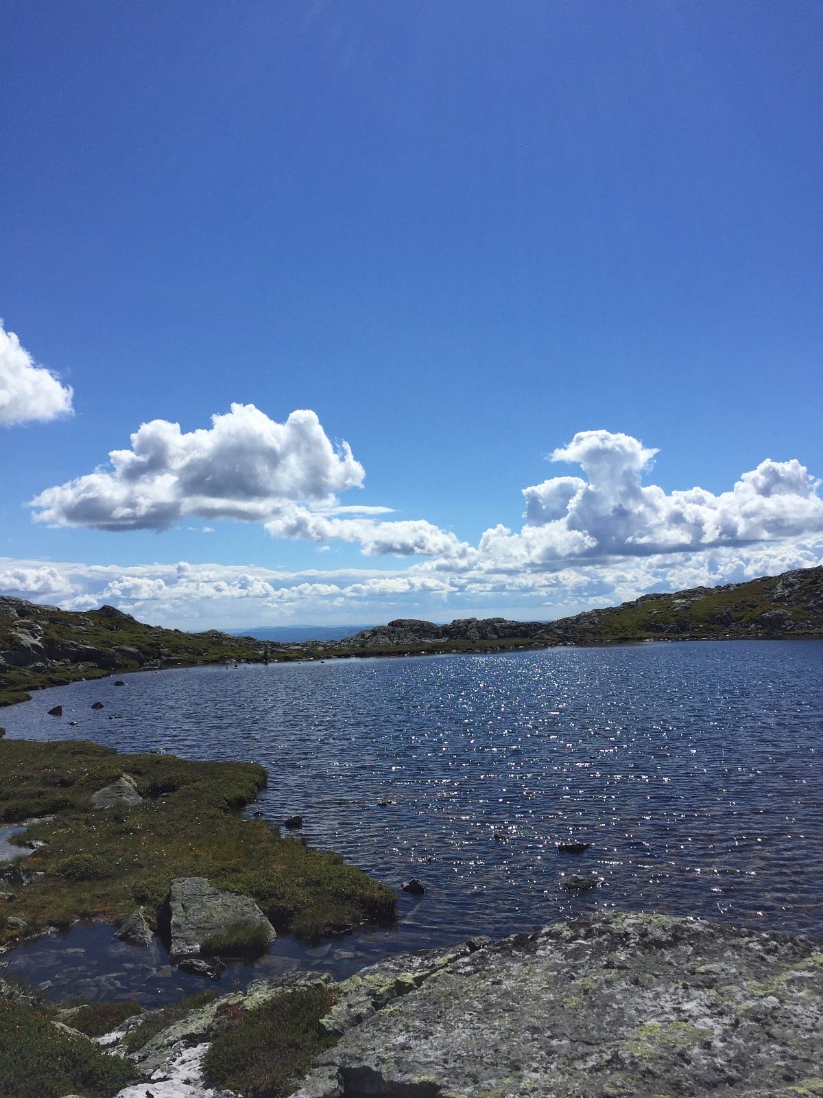 flott turområde Galleribilde