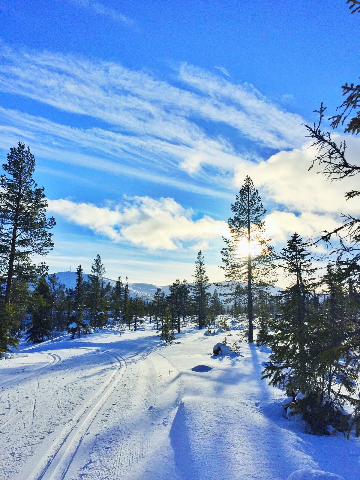 Flott vinterdag i langrennsløypene Galleribilde