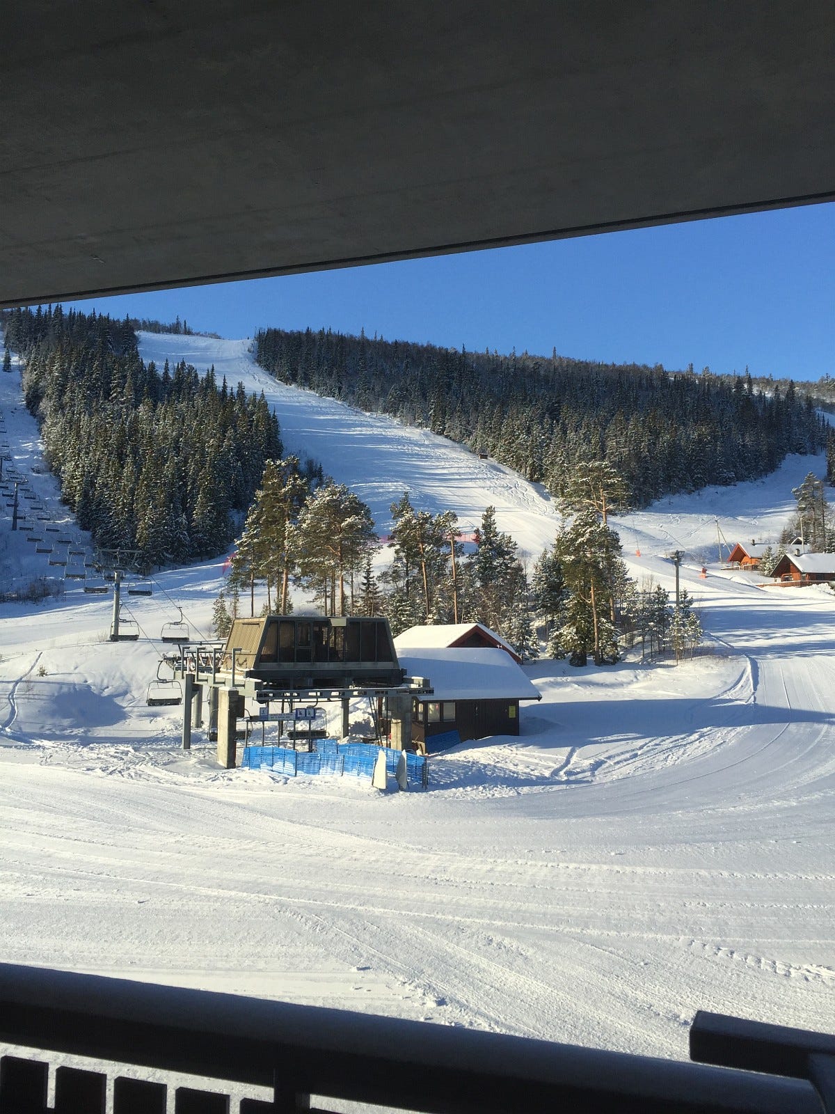Nypreppa løyper hver morgen. Galleribilde
