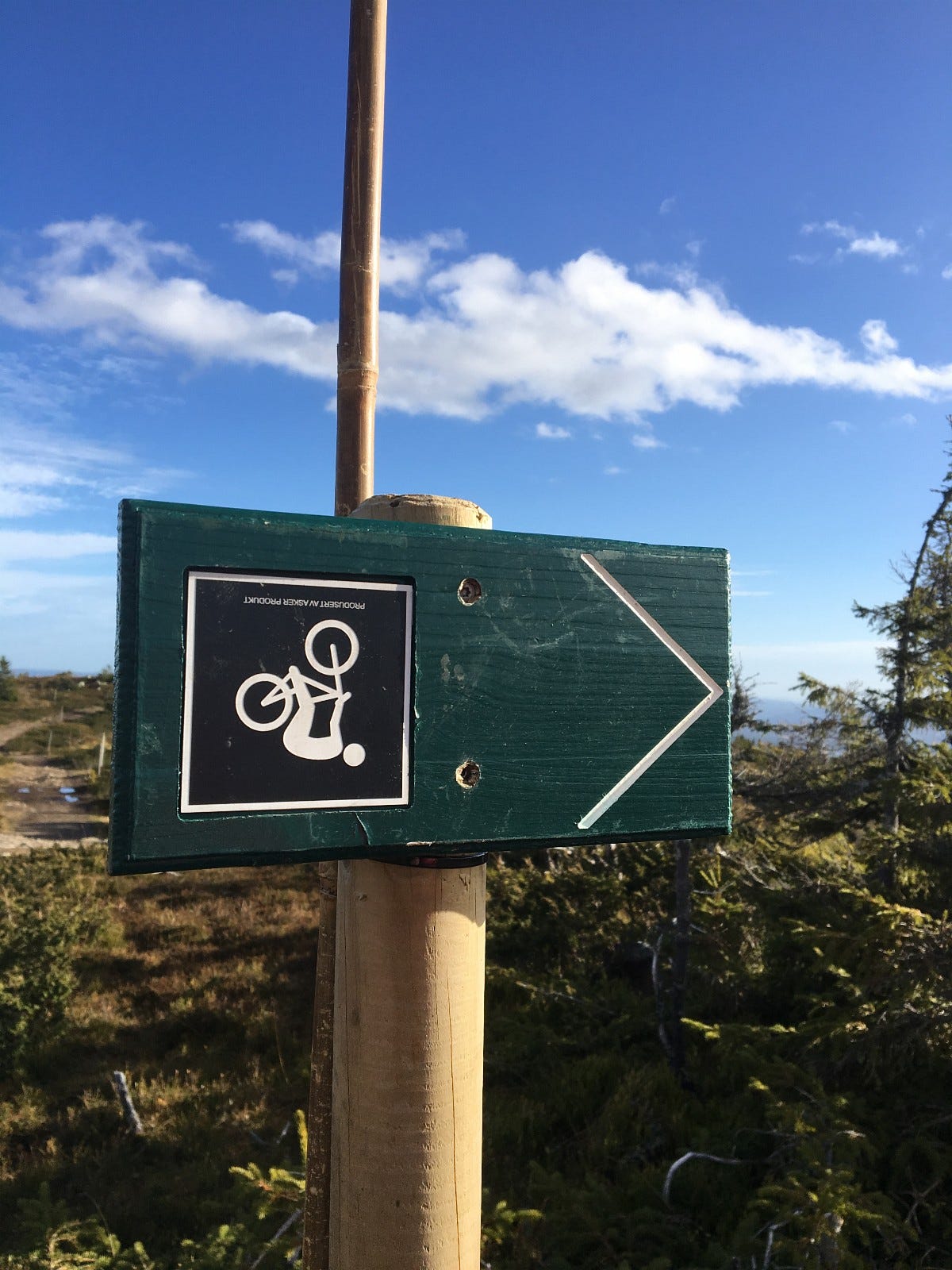 Utfordrende downhill-løyper ned slalåmbakken for viderekomne!... Galleribilde