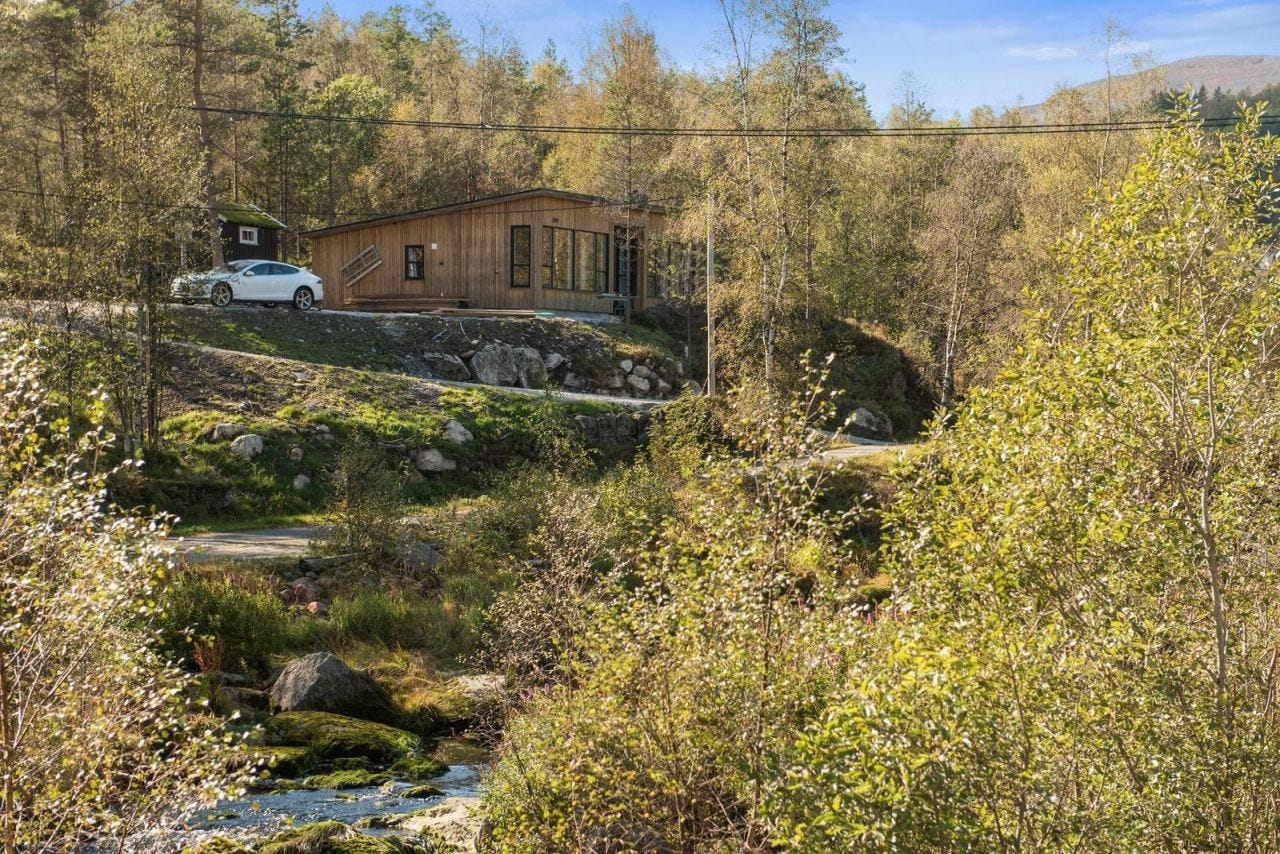 Naturlig beliggenhet ved elven Galleribilde