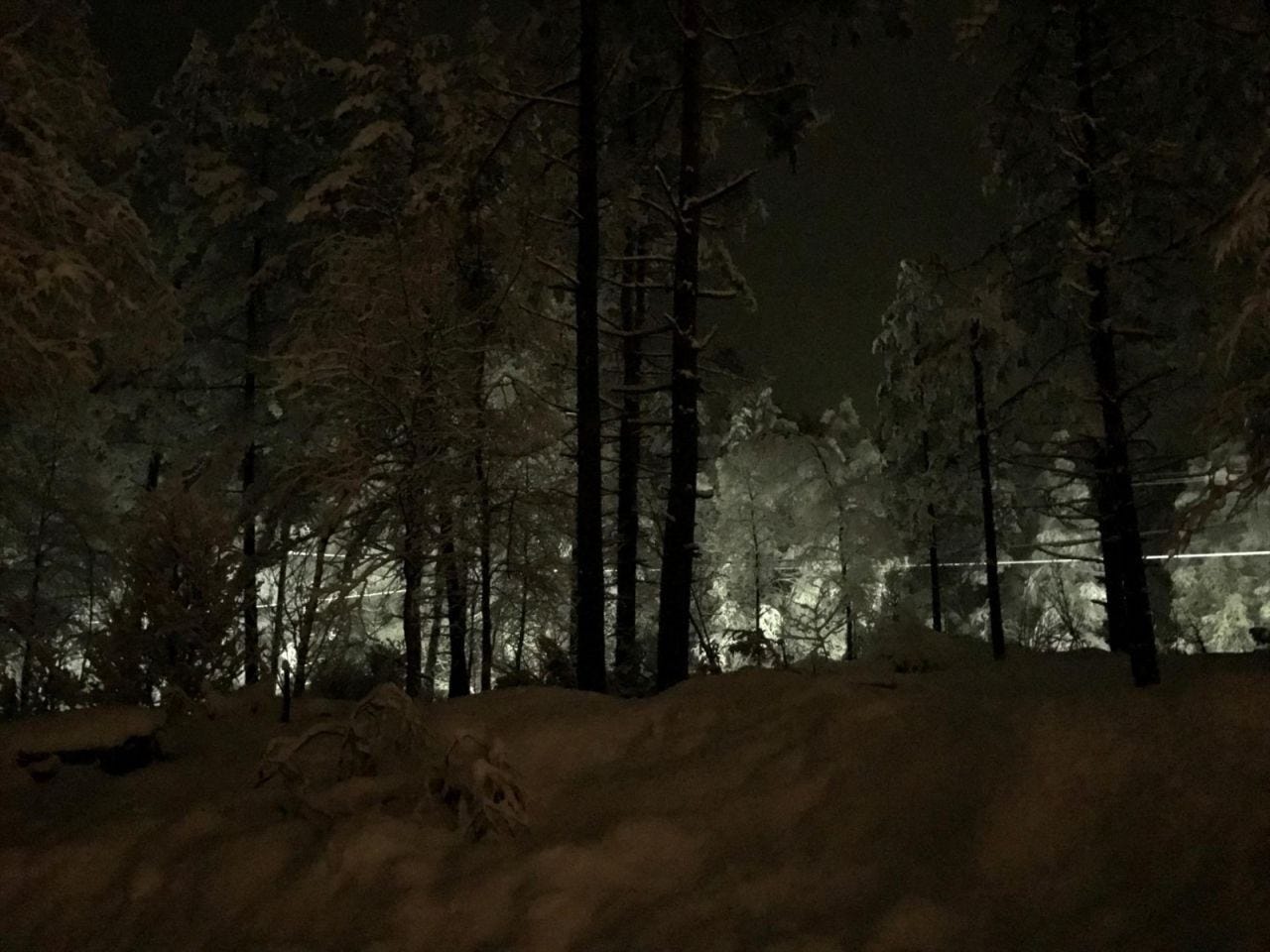 Lysløype traseen sett fra terasse, ski in / out oppkjørte løyper og asfaltert rulleski løype på 4,2 km Galleribilde