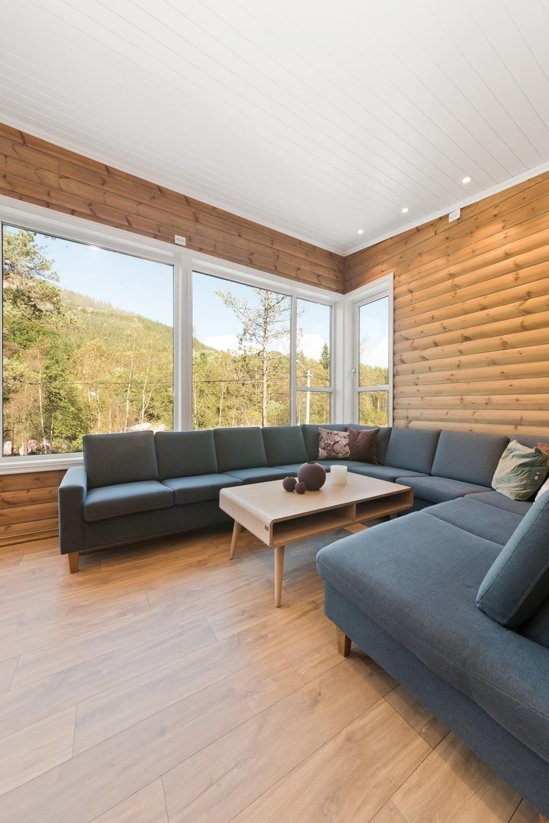 stue / tv stue Galleribilde