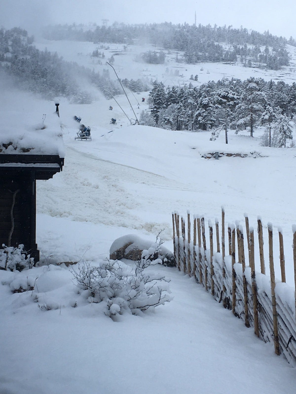 Fra hyttetunet mot alpinbakken. Galleribilde