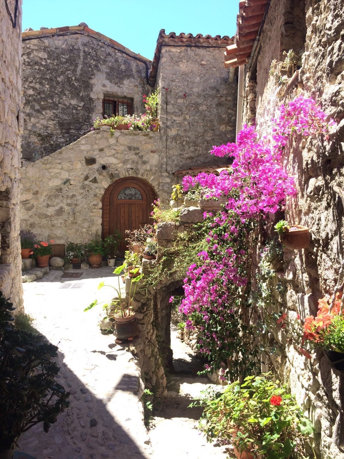Provence Galleribilde