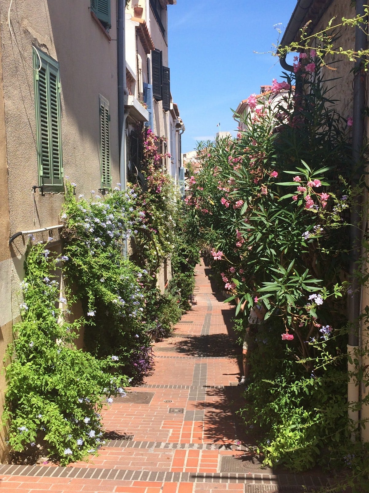 Gamle Antibes Galleribilde