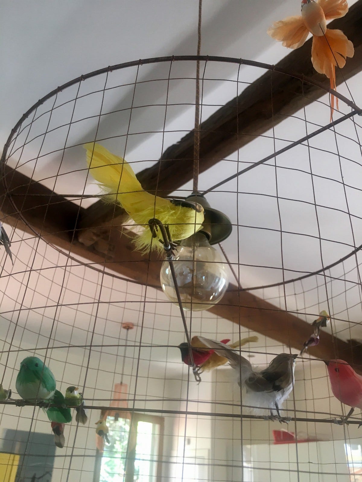 Detaljer av fuglelampen vår Galleribilde