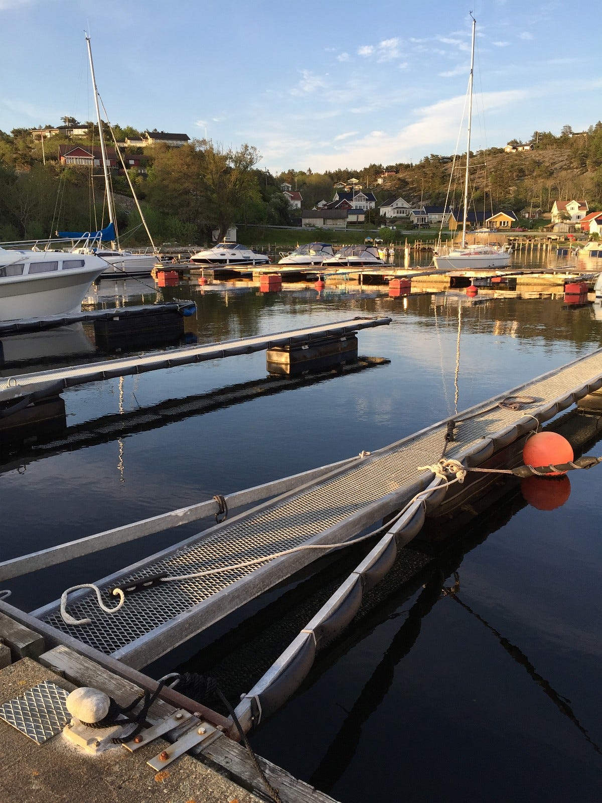 Bading og fiske krabber fra bryggene i nærheten Galleribilde