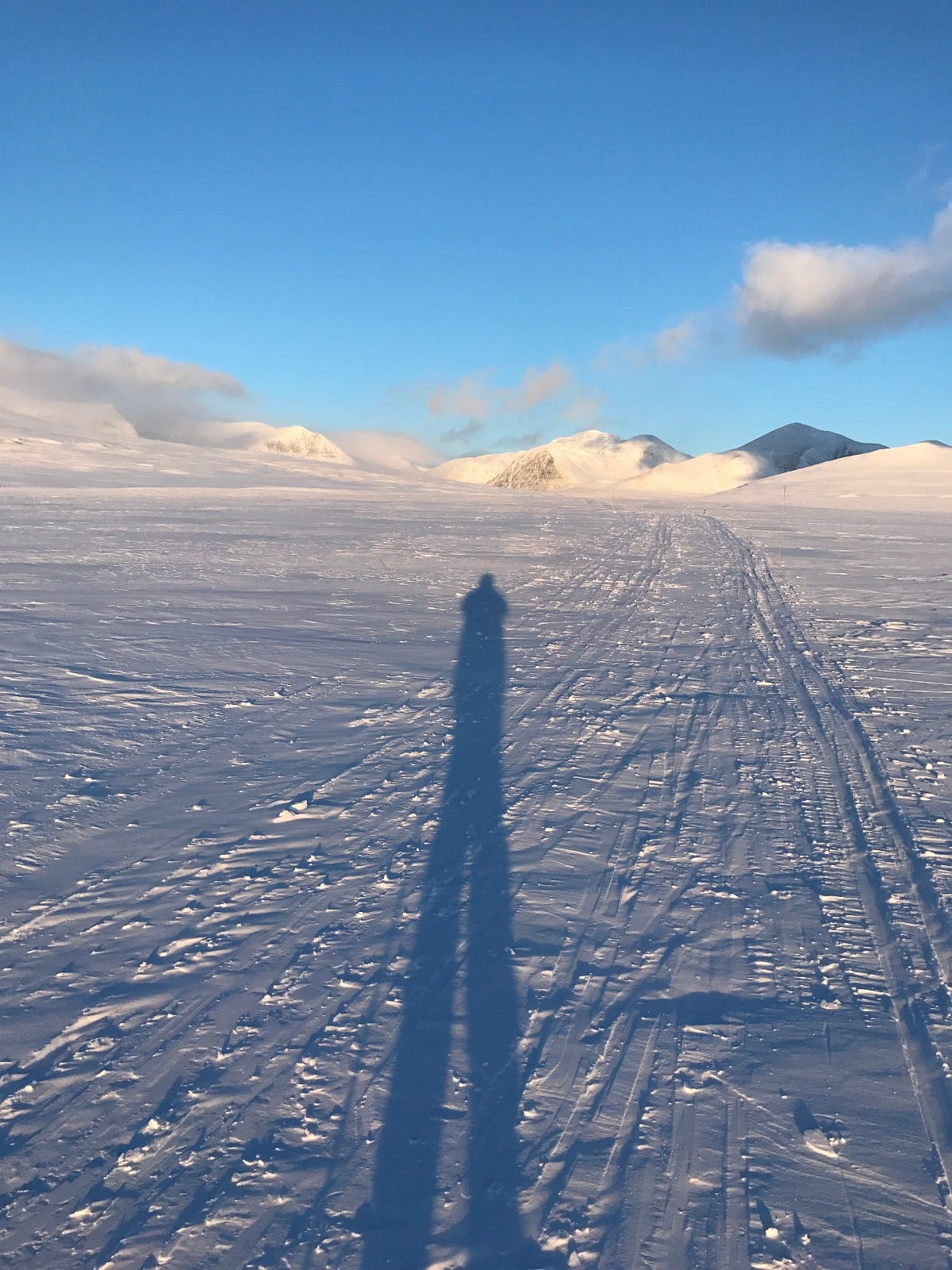 Mot Rondvassbu Galleribilde