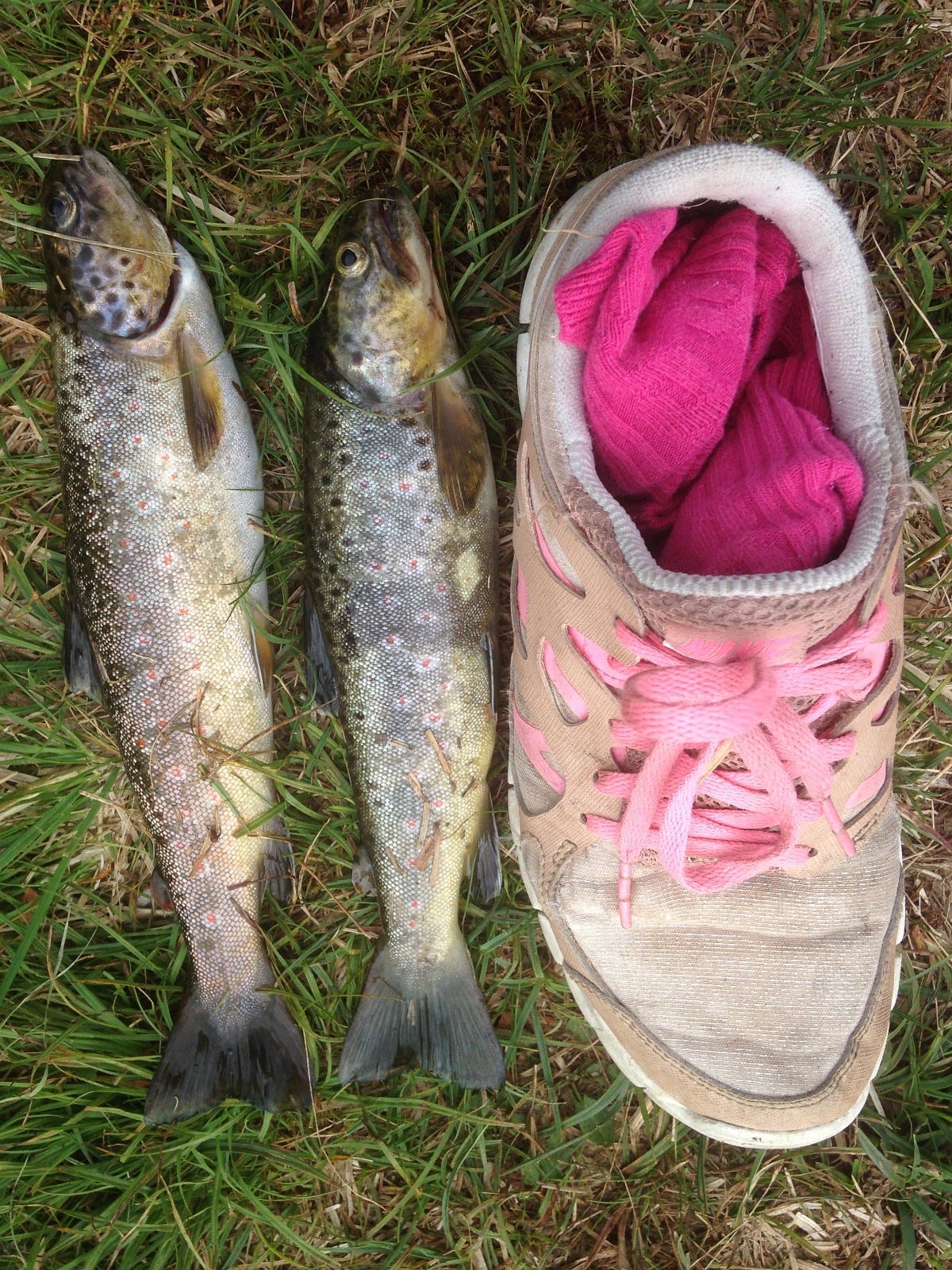 Øret tatt i fossen Galleribilde