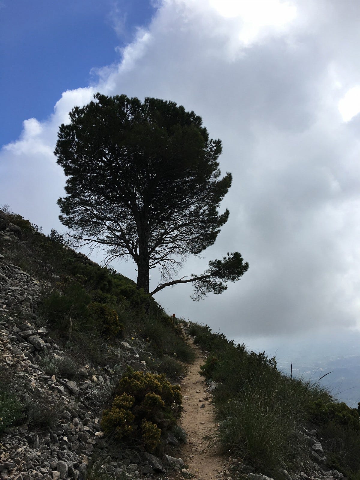 Fjelltur Galleribilde