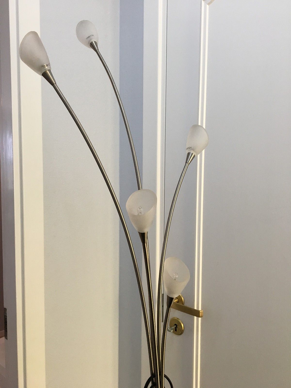 Glasskuppel (frostet glass) tulipan for lampe | FINN.no lampe ski