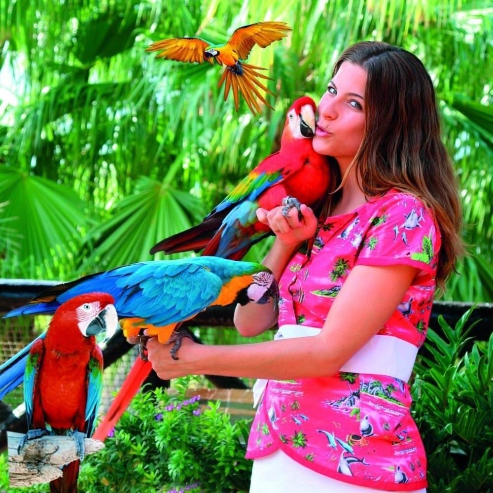 Fra Mundomar Dyrepark Galleribilde