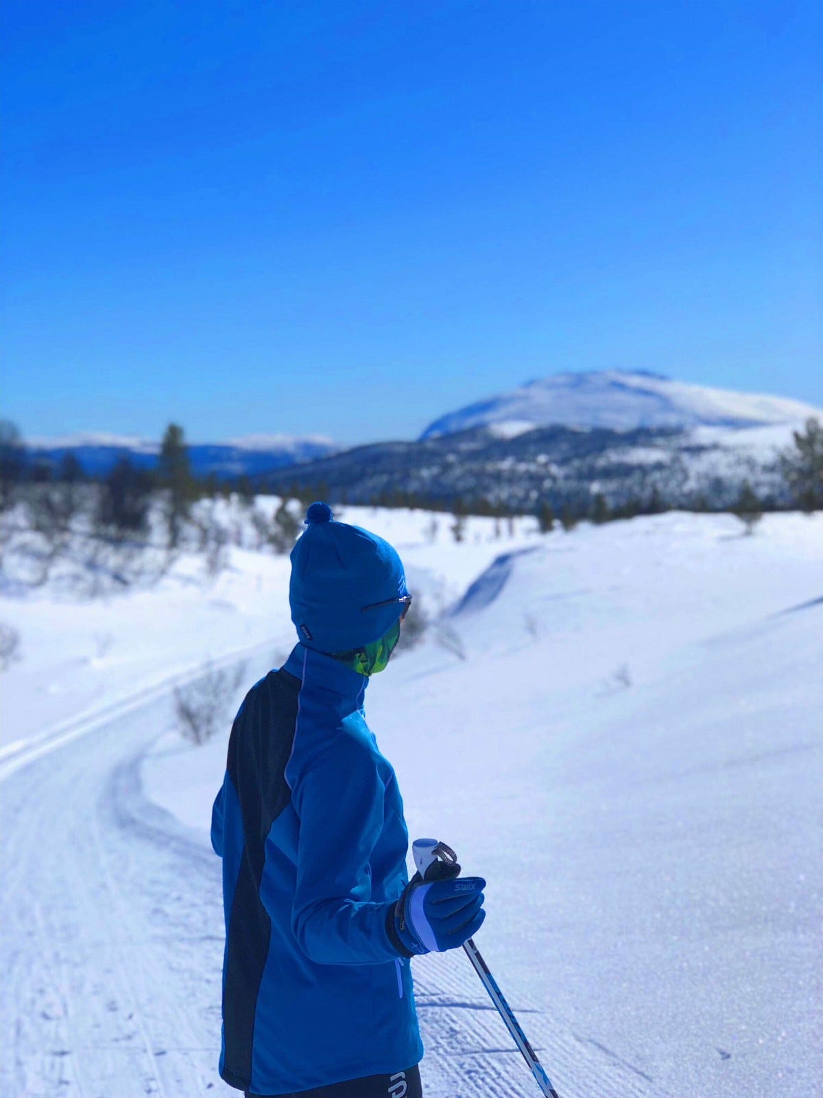 Milevis med skiløyper Galleribilde