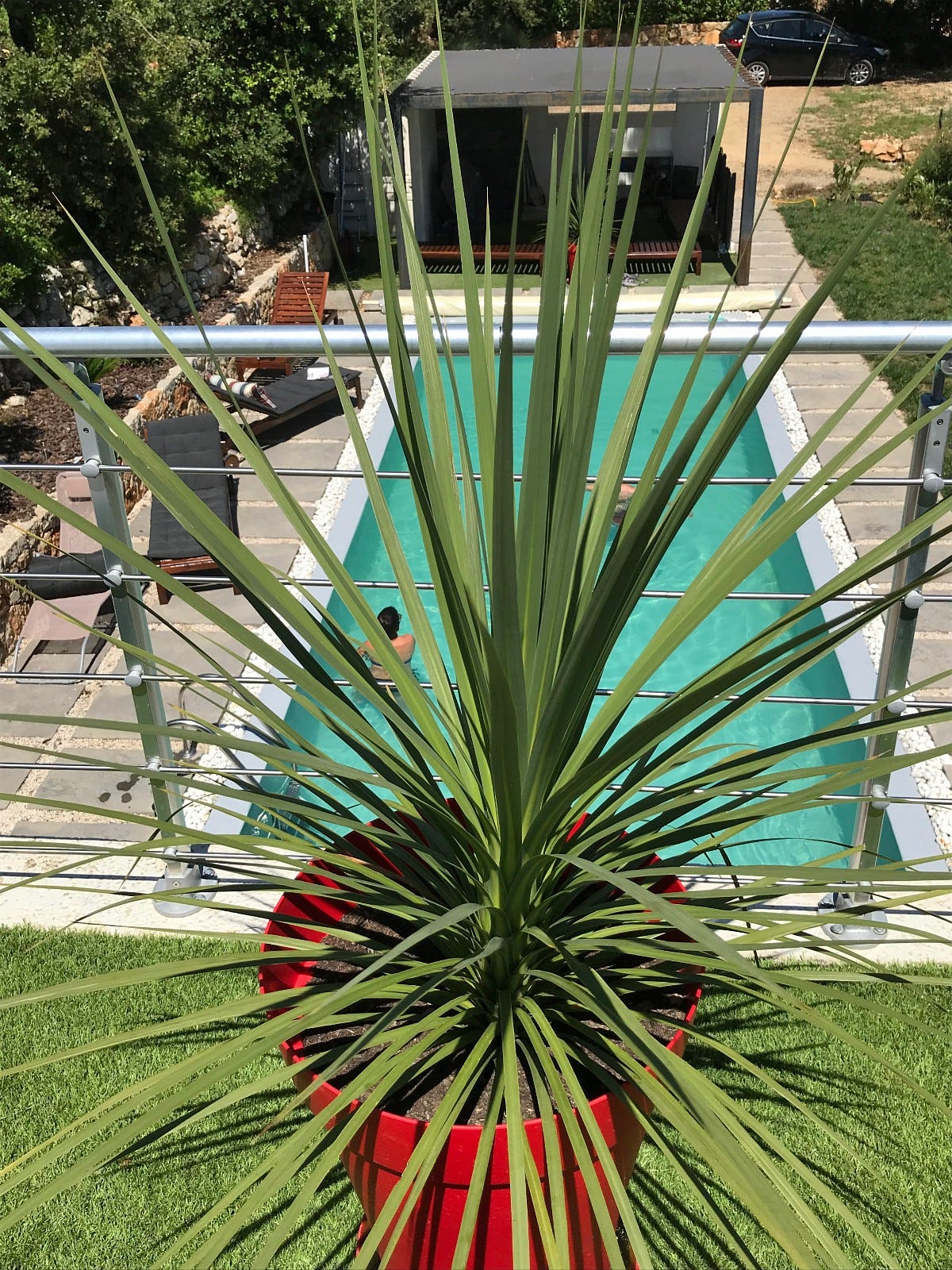 Bassenget sett fra takterrassen Galleribilde