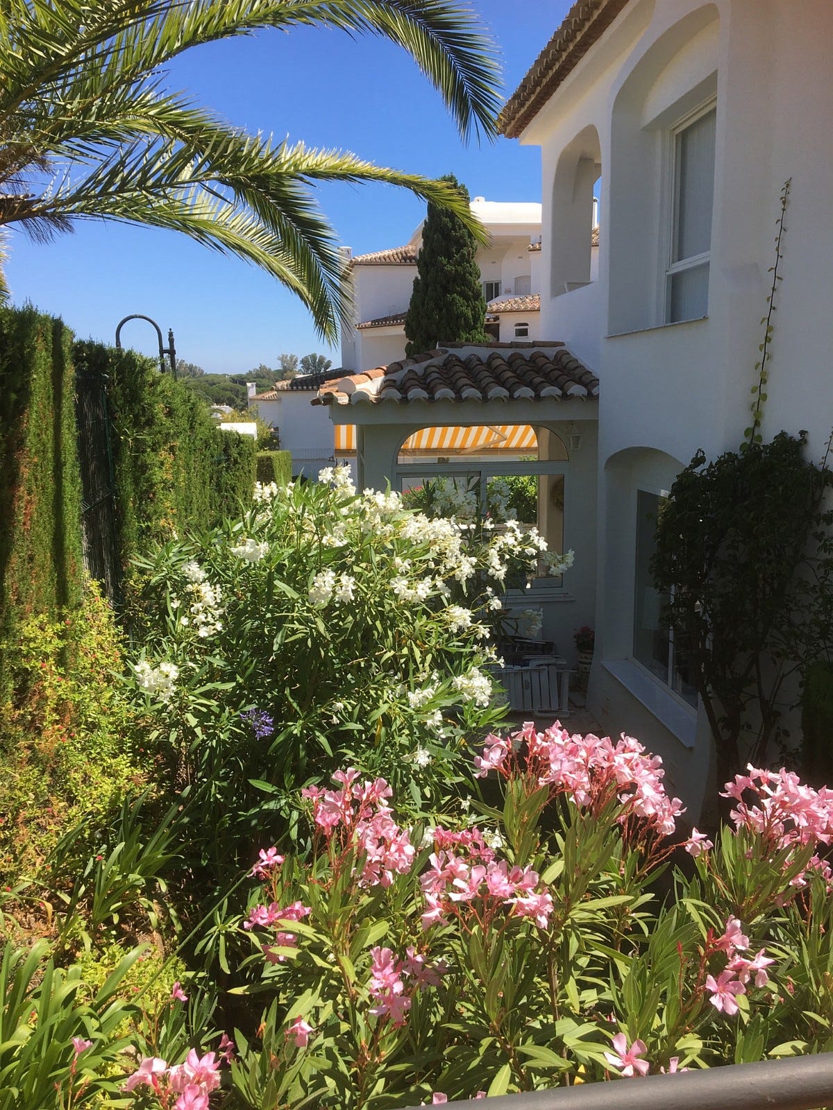 Liten hage Galleribilde