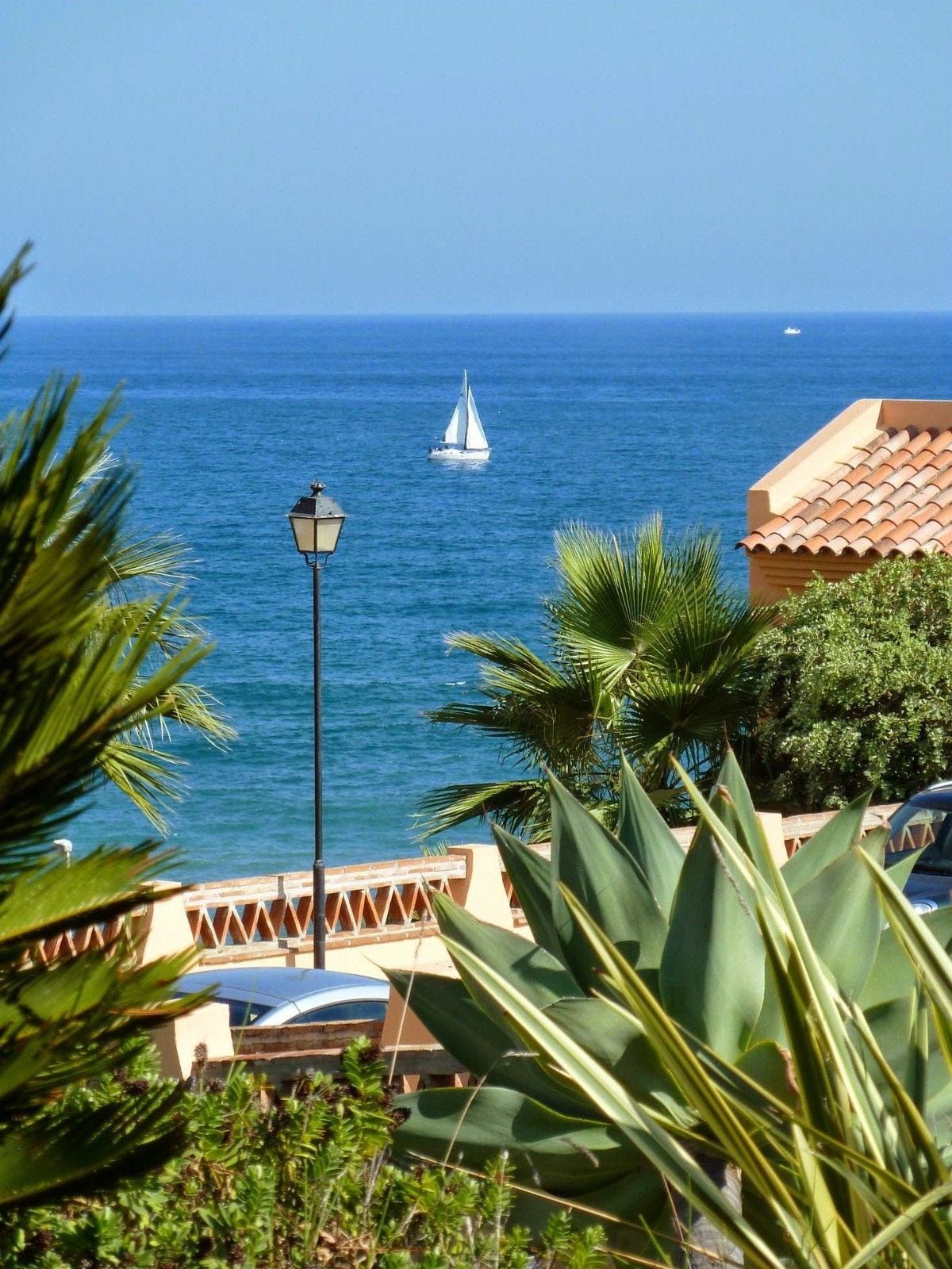 Bilde fra hagen / terrassen Galleribilde