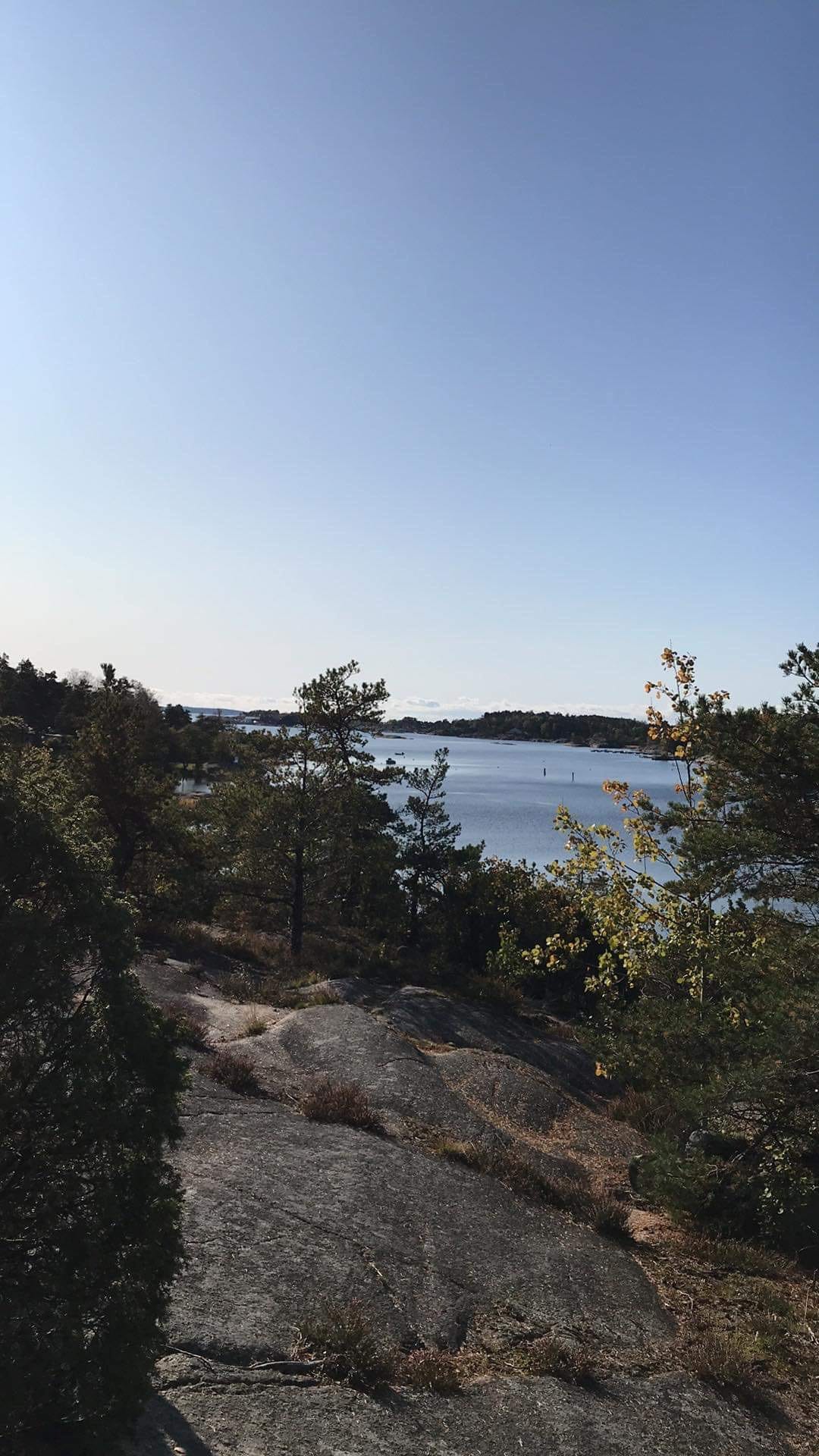 Turområdet Galleribilde