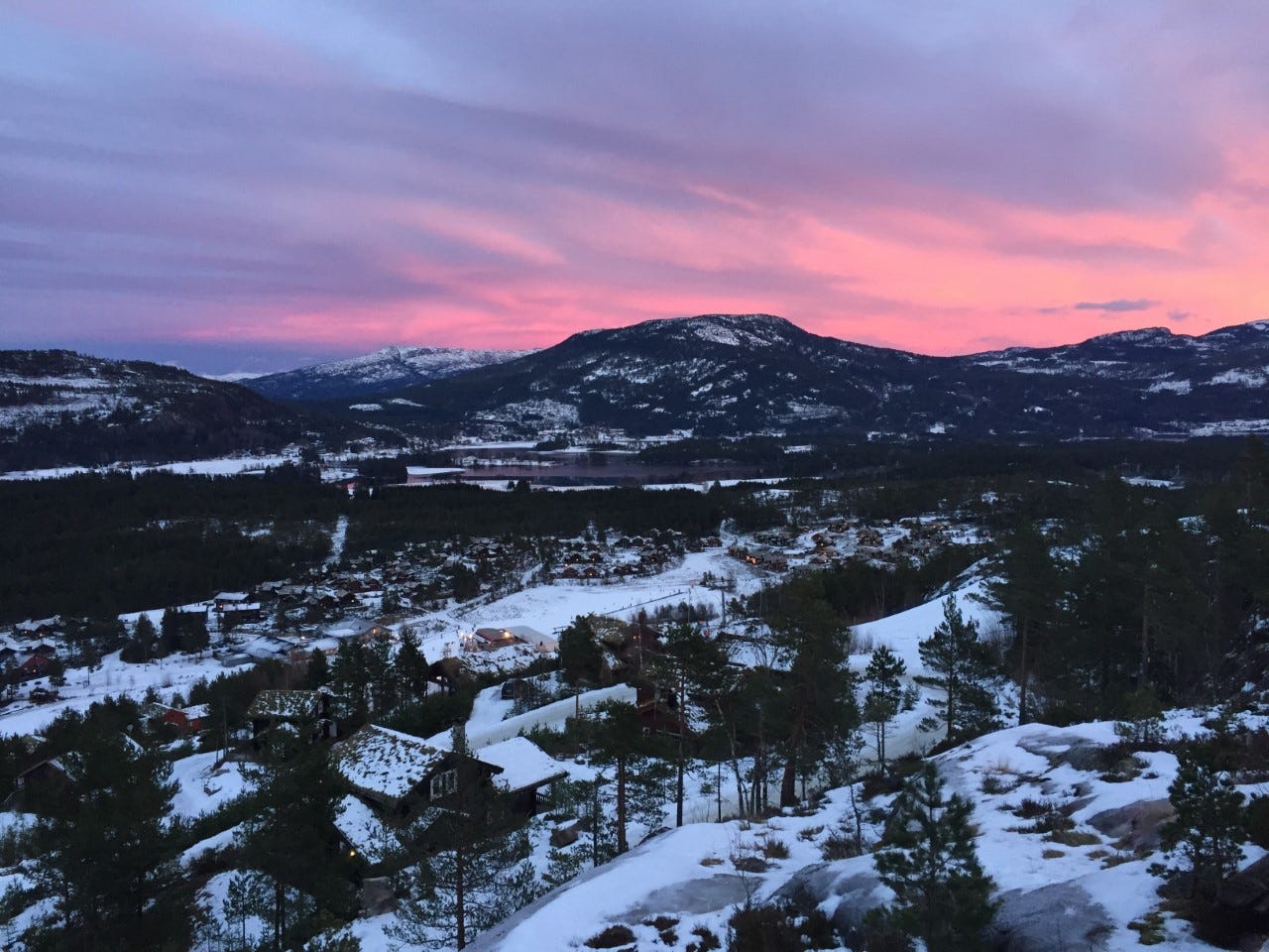 Utsikt. Galleribilde