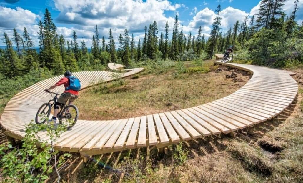 Stisykling Magic Moose Galleribilde