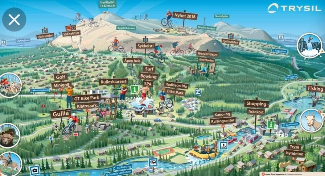 Sommeraktiviteter Galleribilde