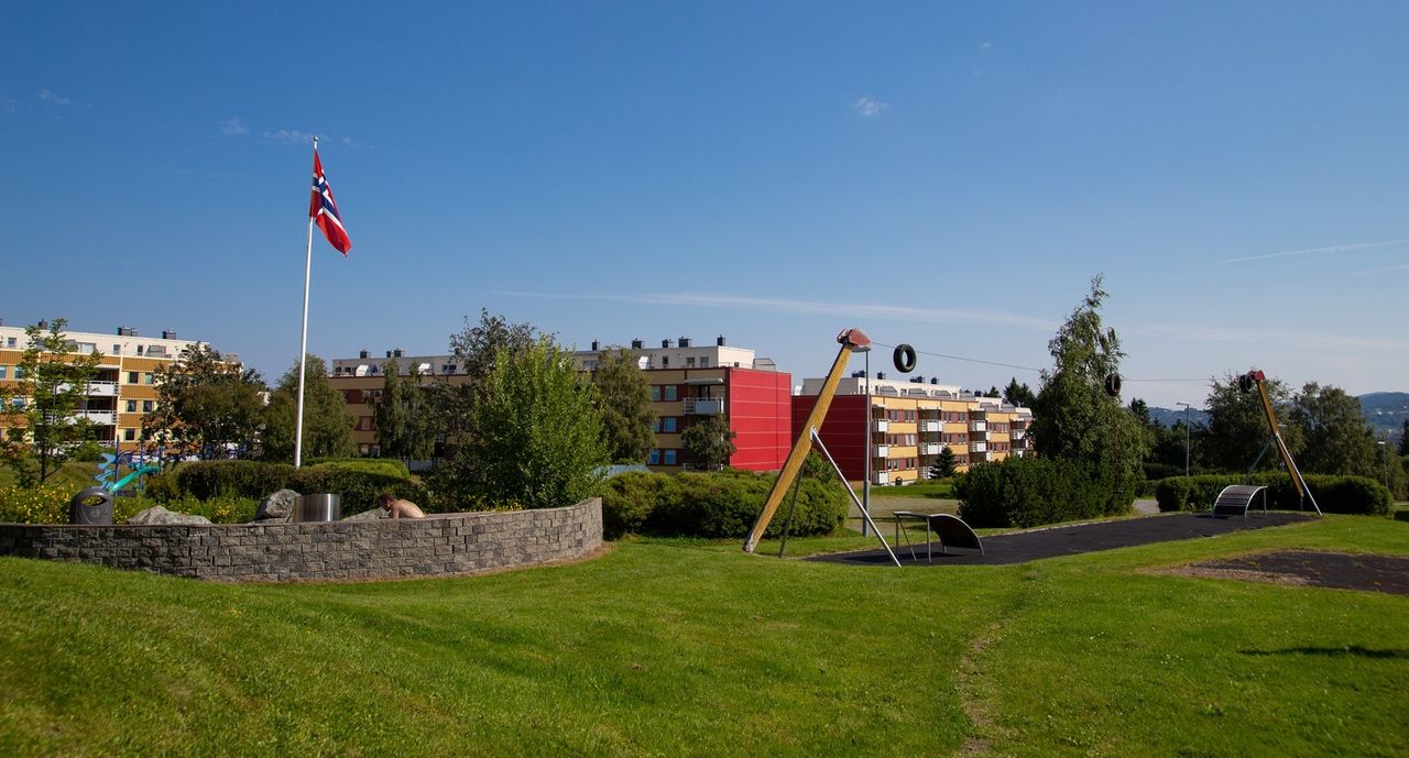 Slide image