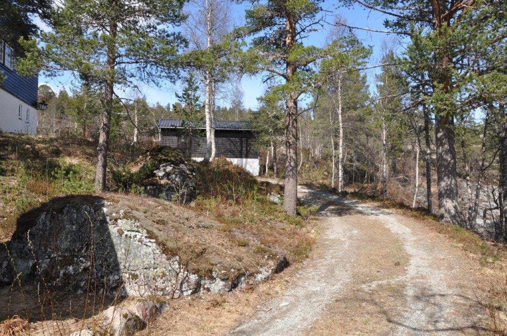 Høst: Veien opp til hytta (Foto: Svein Erik Ellingsen) Galleribilde