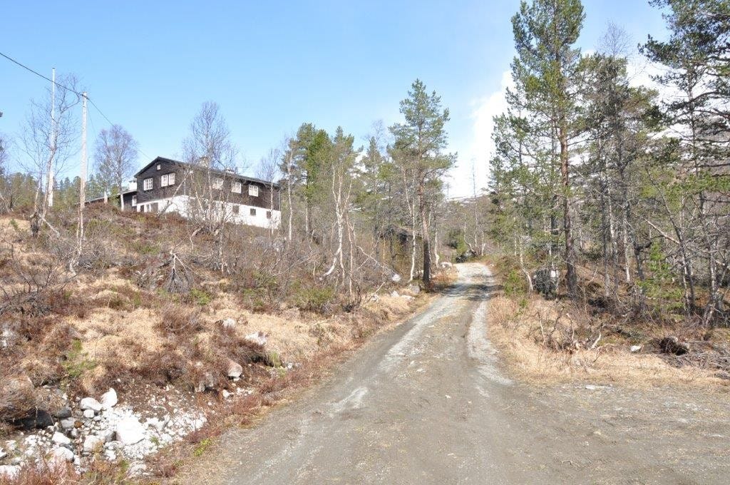Høst: Veien til hytta med vinterparkering til høyre i bildet (Foto: Svein Erik Ellingsen) Galleribilde