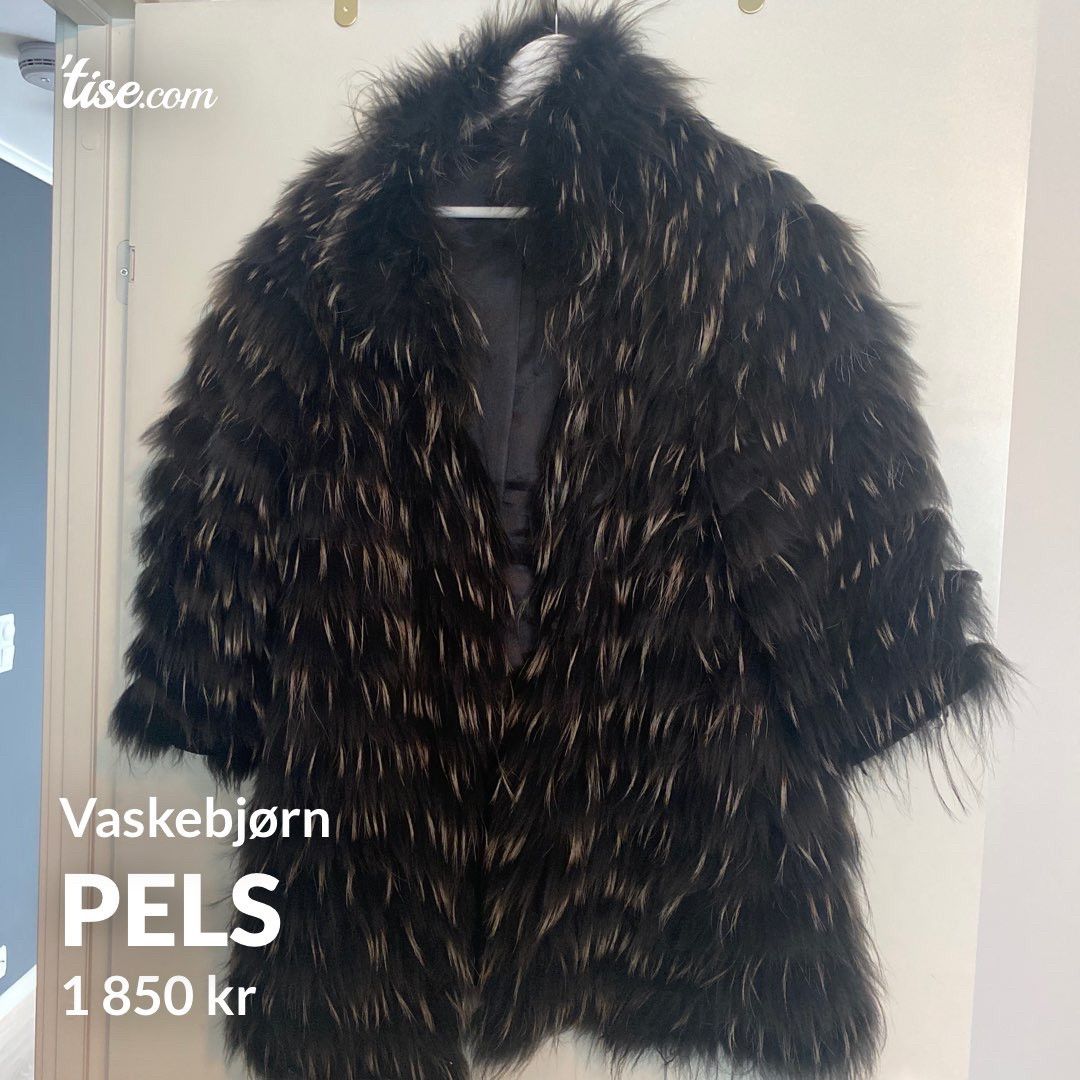 Vaskebjørn, Kjøpe, selge og utveksle annonser finn den Vaskebjørn, Kjøpe, selge og utveksle annonser finn den