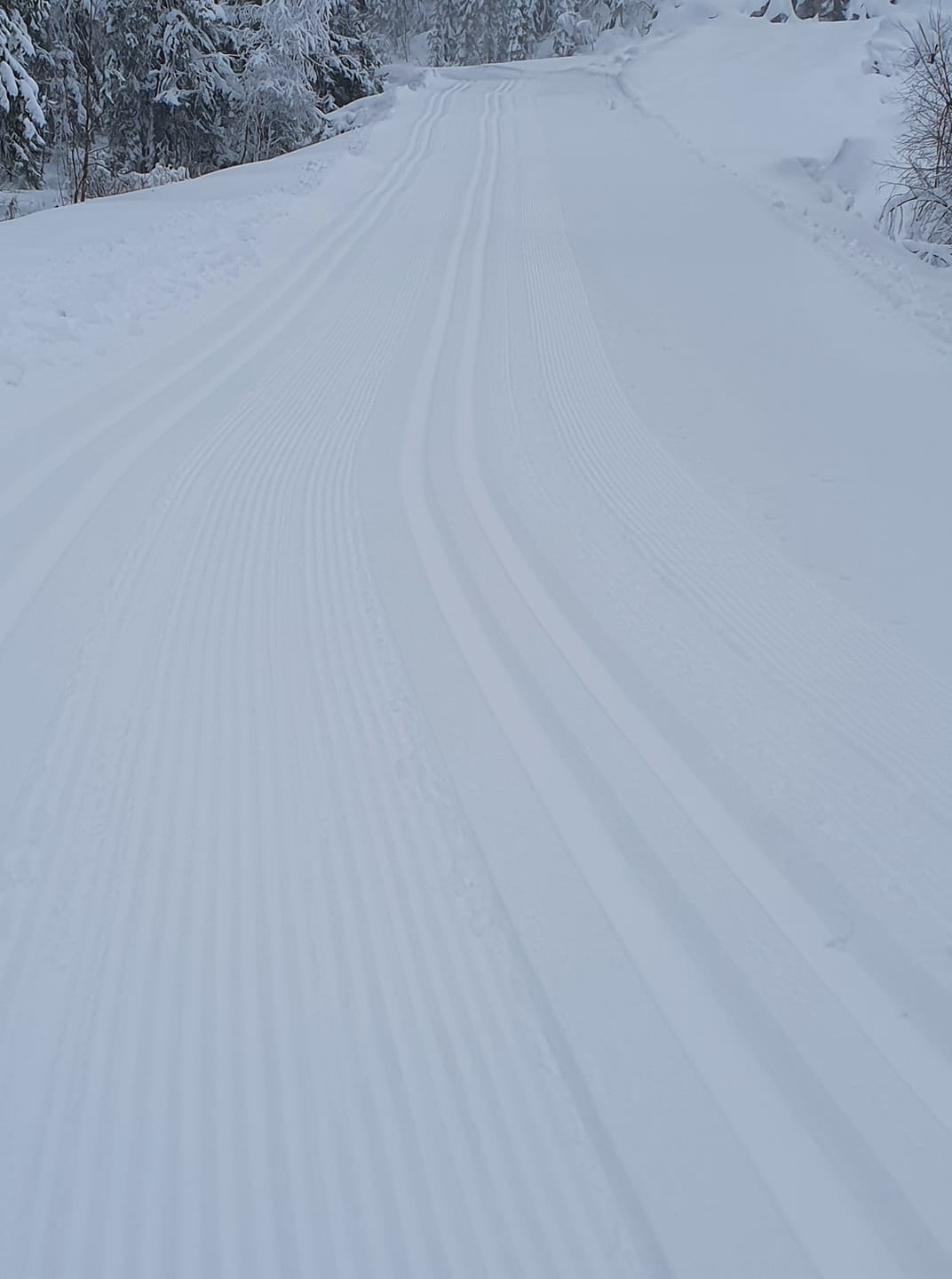 Skispor like ved hytte området Galleribilde