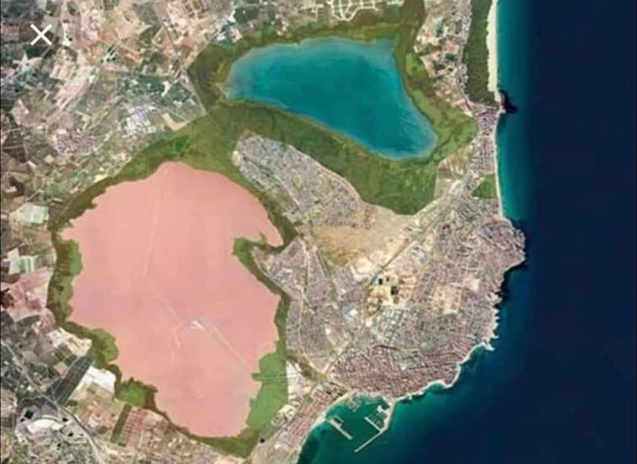De to saltsjøene, den ene er rosa og den andre er grønn Galleribilde
