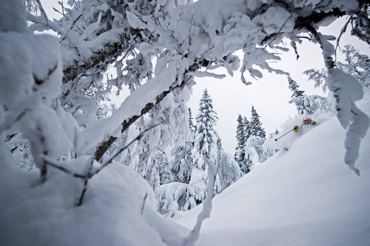 Snø 🤍 Galleribilde