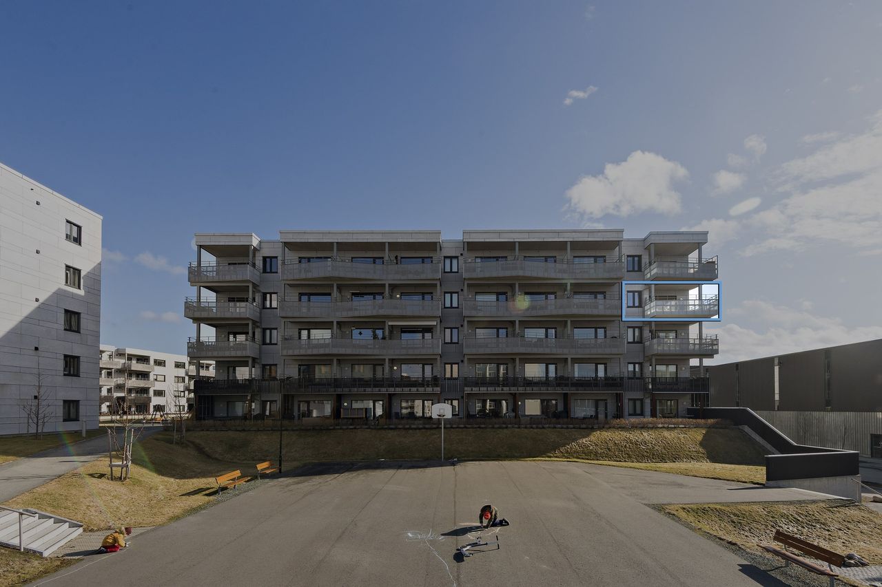 Slide image