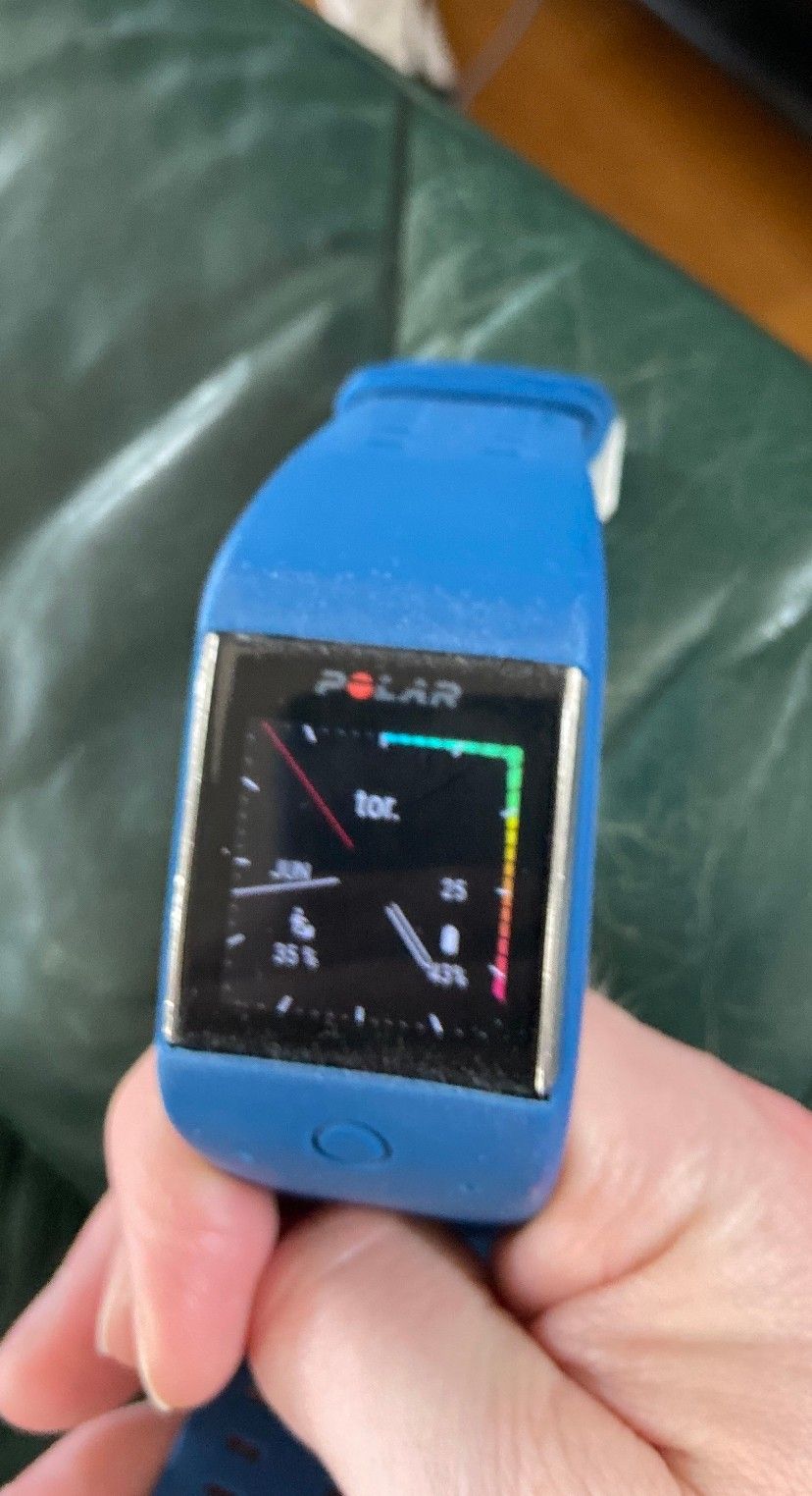 polar m600 pris