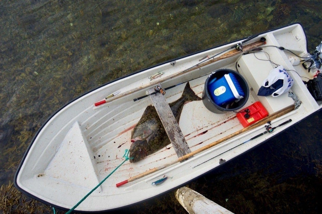 En mindre 14 fots båt med 10 hk utenbordsmotor kan også leies Galleribilde