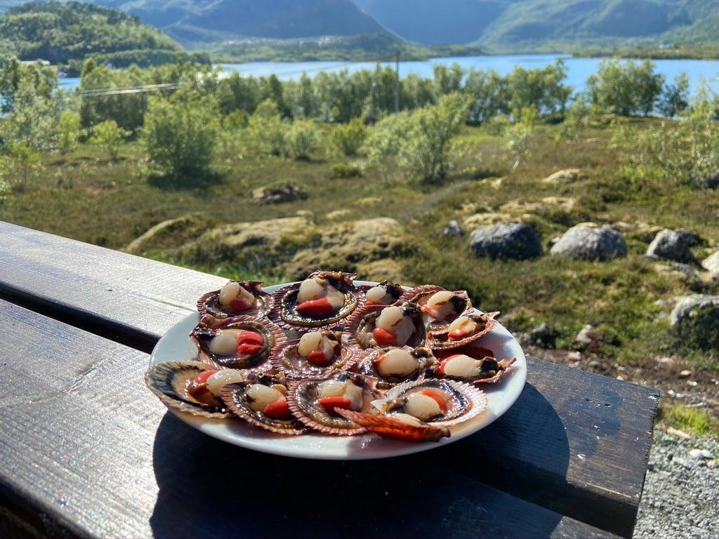 Havets delikatesser, kamskjell Galleribilde