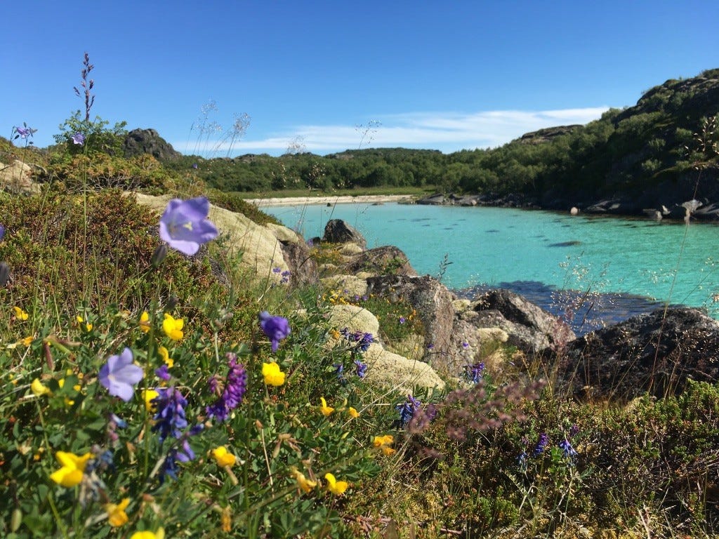 Små skjulte perler av bukter med hvit skjellsand Galleribilde