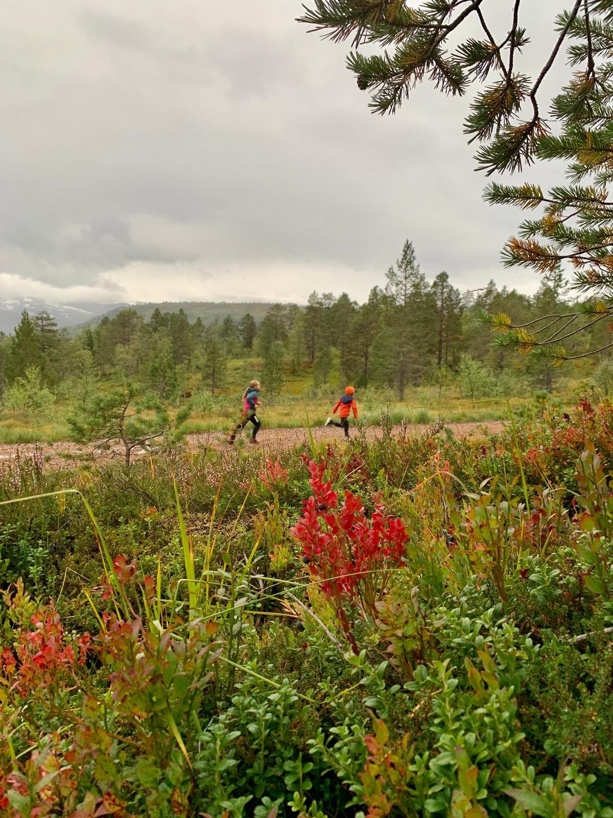 Haustdag i turløypene, rett utanfor døra Galleribilde