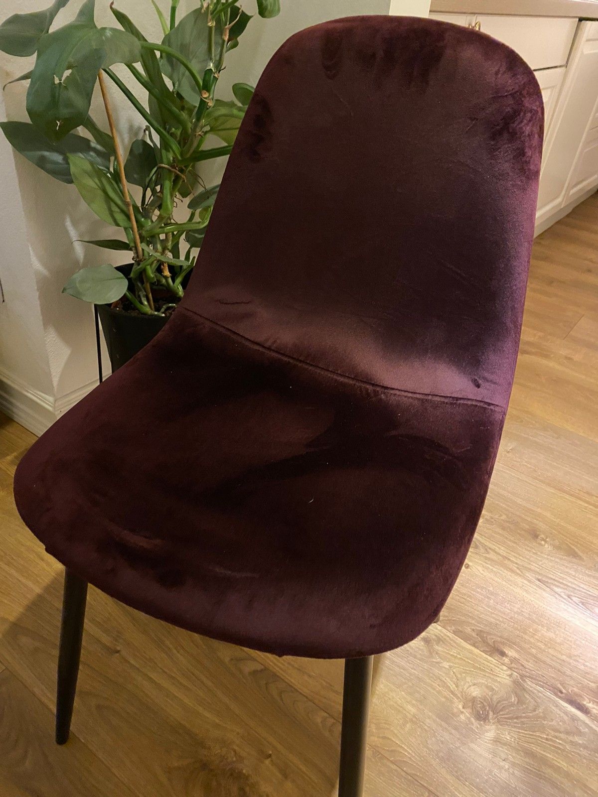 Velur stoler | FINN.no Stol Velur Ny TILBUD! | FINN.no