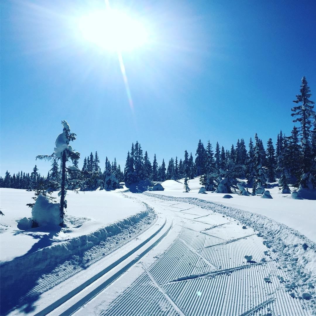 Skiløyper i området med ski inn-ut. Se skisporet.no Vest-Torpa for oppdatert løypeinformasjon. Galleribilde