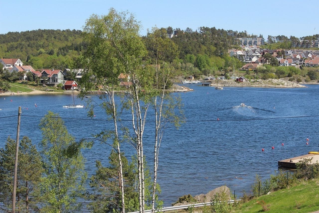 Utsikt fra terrassen Galleribilde