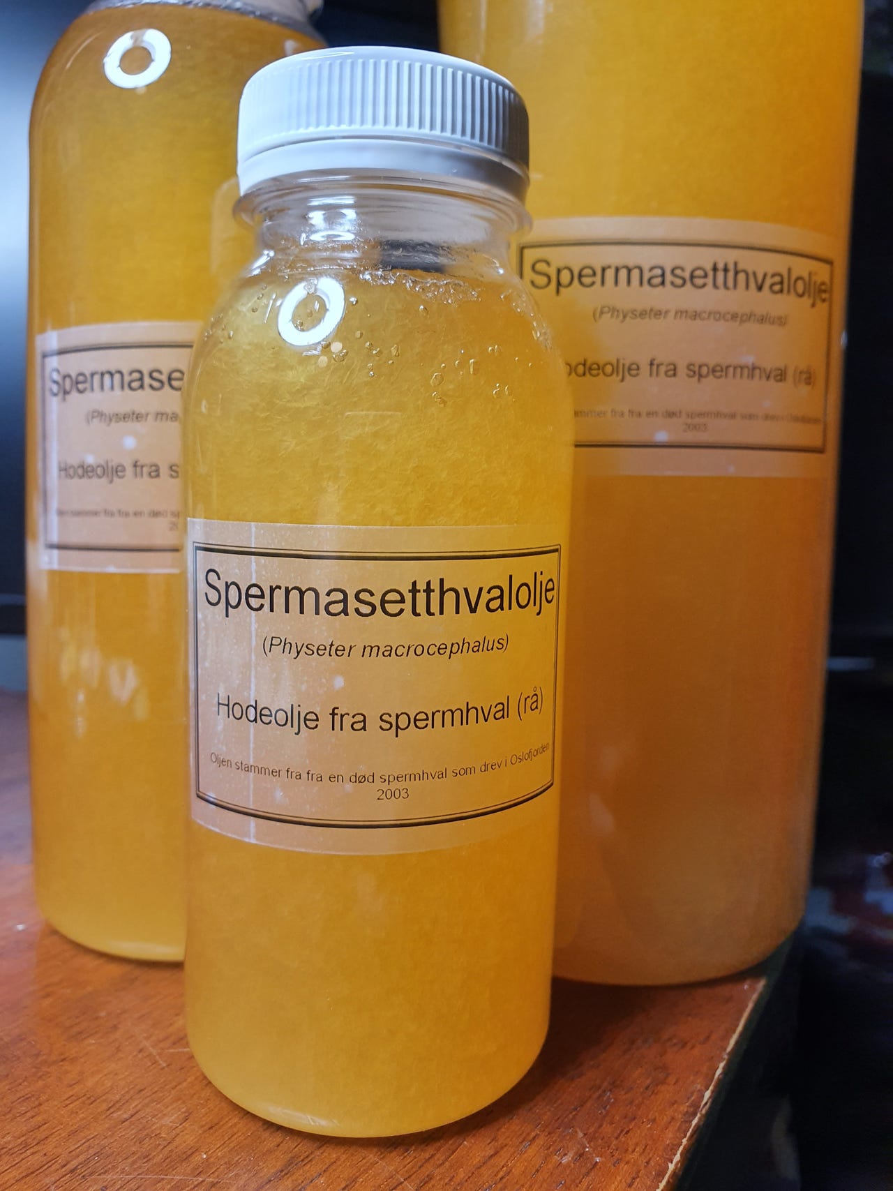 Spermhval olje, spermaceti, hvalrav, spermolje FINN