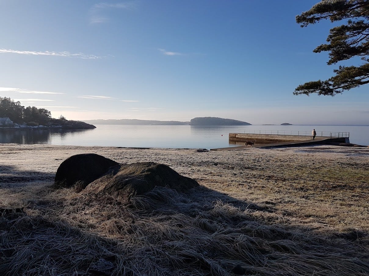 Solviken Galleribilde
