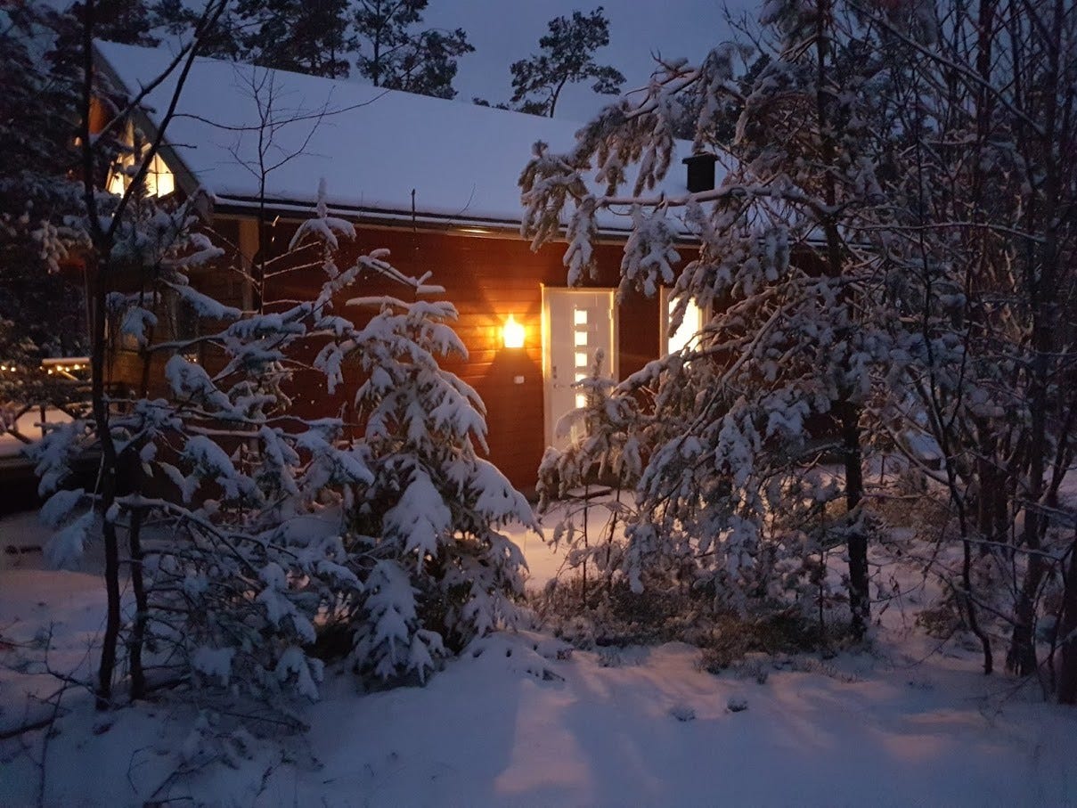 Vinter Galleribilde